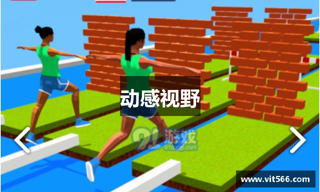 动感视野